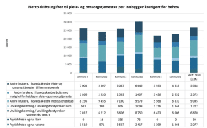 Agenda Kaupang analyserer pleie- og omsorgstjenestene i kommunene 5